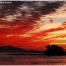 낙안읍성 참살이 민박 이미지