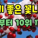 꽃과나무 이미지