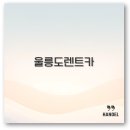 울릉도 렌트카 가격 추천 공항 저동항 깔끔 정리