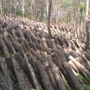 도열농장 이미지