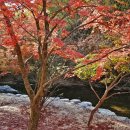 강천산군립공원 이미지