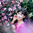 겨울 제주 여행...삼달리 꽃밭에서 이미지