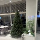 엔제리너스 경남거창점 이미지