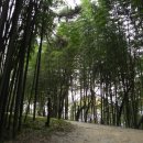 조씨낚시터 | 전라도정자詩로 만난 인물(969)-최유지(崔攸之)-2