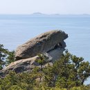 6월24일-26일 신안 비금도 선왕산.그림산 종주산행 &amp;도초도 &amp; 우이도 이미지