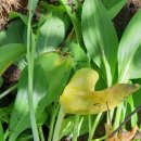 아루농장 이미지