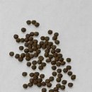 유태원한의원 이미지