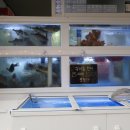 라미도매수산 이미지