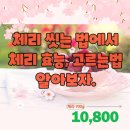 체리드니