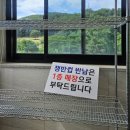 더존비앤씨티(강아지숲)/카페 여름 | 남양주 카페 가볼만한곳 밤섬유원지 달빛새 베이커리앤카페