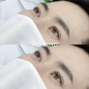 엘르몬트