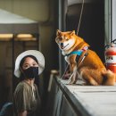 하노버승마장 이미지