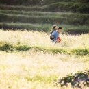 빠담빠담 이미지