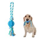 블루덴탈 이미지