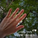 주네일스토리 | [ wedding ] 건대입구역 가성비 네일샵 웨딩촬영용 기본젤네일 추천 네일105 건대점