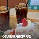 샤르망부띠크 | 수원시청역 디저트 맛집 카페디아즈 딸기케이크랑 버터떡 후기