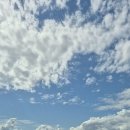 오길농장 이미지