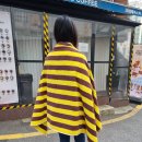 비치타월로 사용하기 좋은 필리플레이스 호텔 배스 타월 솔직후기