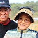 배일치 농장 이미지