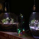 삼산상회 이미지