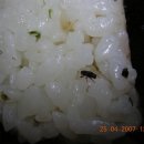 수정김밥 이미지