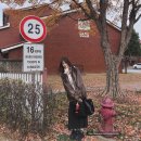 용산-221 | 서울 명소 용산공원 미군기지 반환부지 크리스마스 빌리지 미리보기 11월 말 단풍 막차 탑승 후기