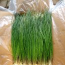 달래네 하우스 이미지