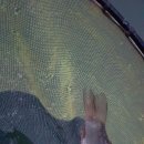 개미낚시터 이미지