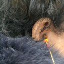 복음보청기 성남센터 이미지