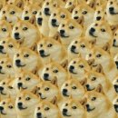 현시점 Daum카페