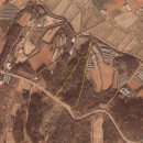 강남황금공인중개사사무소 이미지