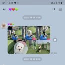 멍뭉이 쌀롱 네이버블로그