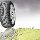 애플 타이어 이미지