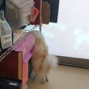 베베네개스트하우스