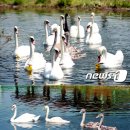 재남농장 이미지