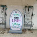 안성 포도박물관 샤토안 헛걸음후기 ㅋㅋ