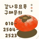 달콤과일나무
