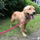 용재농장 이미지