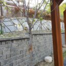 일광중학교 이미지