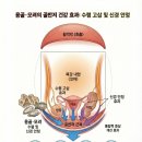 용골 화장실 이미지