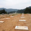 태성태양광발전소 이미지