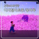 아트존 | 국립대구박물관 디지털아트존 꿈마루 예약 이용시간 (인생사진 나옴)