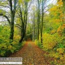 미생한의원 이미지