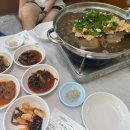 본가발