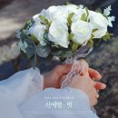 벗 티스토리
