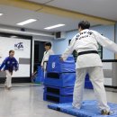 용인대태권도장 이미지