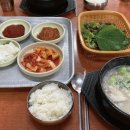 또순이돼지국밥 네이버블로그