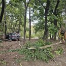 여주-0093 이미지