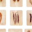 삼형제 펫푸드 이미지