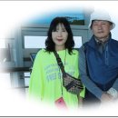 굿모닝여행사 티스토리